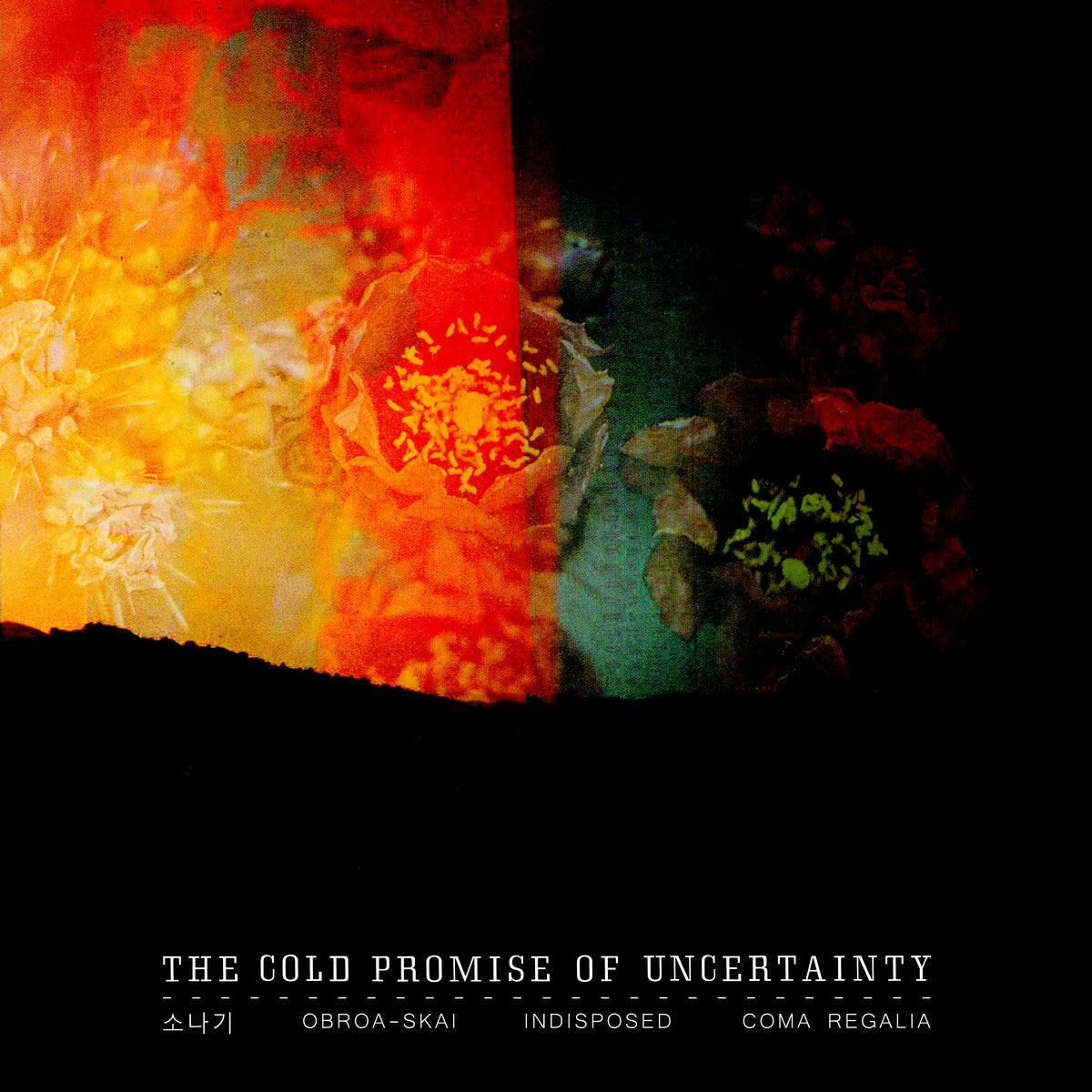 "The Cold Promise of Uncertainty" Split Tape