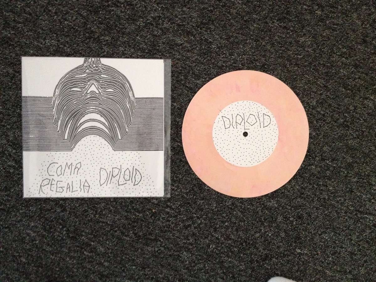 Coma Regalia / Diploid Split Peach 7"