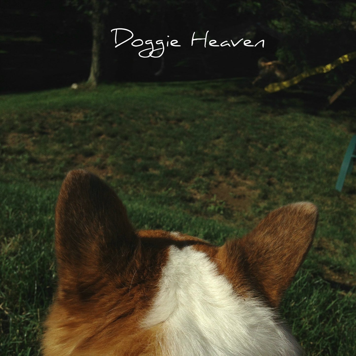 Curse Words - "Doggie Heaven" - Acrobat Unstable Records