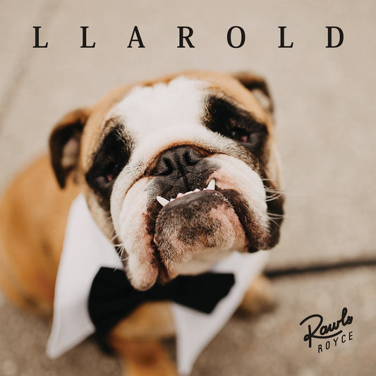Rawls Royce - "Llarold" - Acrobat Unstable Records